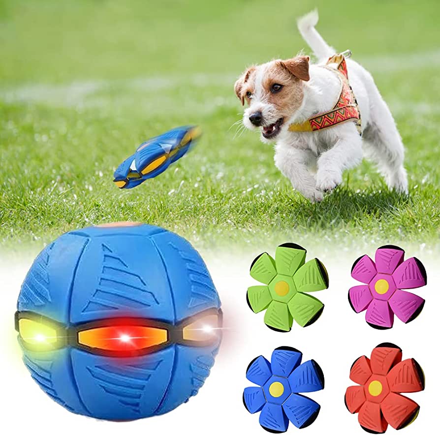 Goodtail Goods™ Dog Frisbee