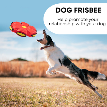 Goodtail Goods™ Dog Frisbee