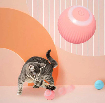 Goodtail Goods  Interactive Ball