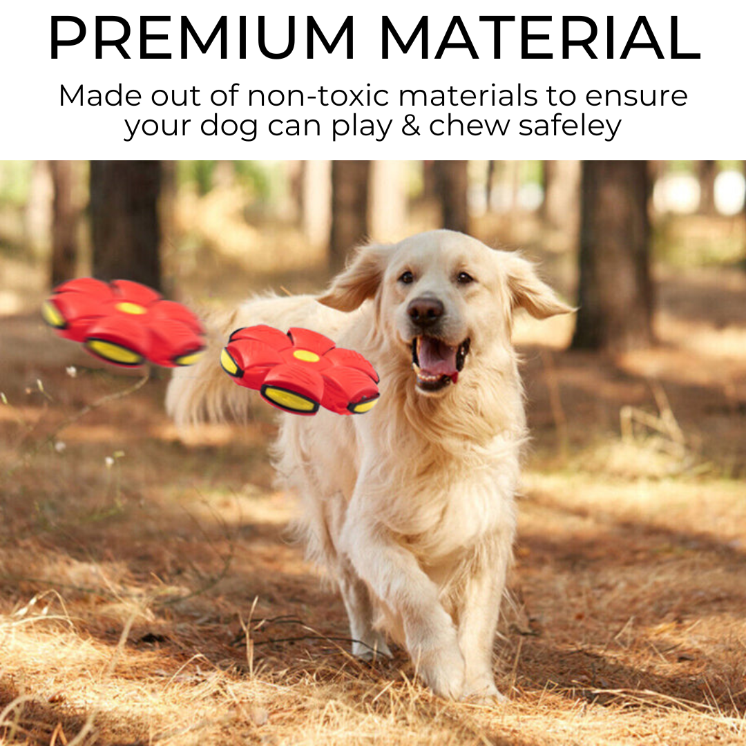 Goodtail Goods™ Dog Frisbee